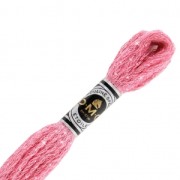 Hilo para bordar DMC Mouliné Etoile 617 Rosa Bonbon (C603) x8m|raw }}