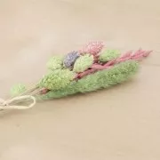 Flores de Sétaire Lavande secas para tus creaciones DIY x5 varillas