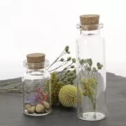 Hojas secas para tus creaciones DIY x5 gr