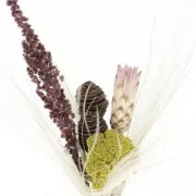 Platyspermum seca para tus creaciones DIY x1 varilla