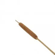 Junco seco para tus creaciones DIY x1 varilla