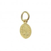 Dije medalla Vierge resina epoxi con anilla 9.5mm Verde/Chapado de Oro 3 mic.