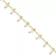 Cadena con rocallas 1.7 mm Blanco/dorado x 50cm