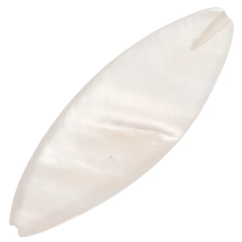 Tejos ovalados de nácar irisado 30x10 mm Natural x6