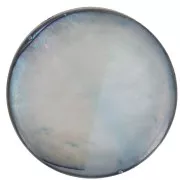 Tejos redondos de nácar 12 mm Grís x10