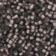 Miyuki Delica 11/0 DB0631 - Dyed Rustic Grey Silver Lined Alabaster