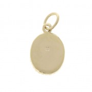 Dije Ovalado diseño pajaros 15x9.5 mm Chapado de Oro 3 micras x1