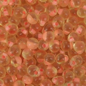 Mini-gotas Miyuki 3.4 mm DPF09 - Coral Lined Light Topaz x8g