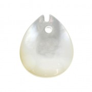 Dije Hoja de Nácar 12x10 mm Gris Irisado x1