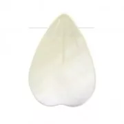 Gota pétalo de Nácar 13.5x10 mm Natural x1