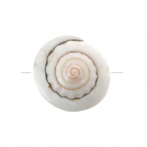 Cuenta concha 15 x 8 mm para hacer joyas de fantasía x1