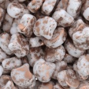 Cuentas de cristal Ginko Duo 2 agujeros 7.5x7.5 mm Opaque Copper Splash x10g|raw }}