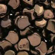 Cuentas de cristal Ginko Duo 2 agujeros 7.5x7.5 mm Dark Bronce x10g