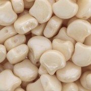 Cuentas de cristal Ginko Duo 2 agujeros 7.5x7.5 mm Opaque Beige Ceramic Look x10g