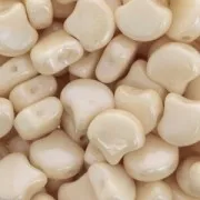 Cuentas de cristal Ginko Duo 2 agujeros 7.5x7.5 mm Opaque Beige Ceramic Look x10g