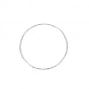 Anilla 20 mm de Plata 925 x1