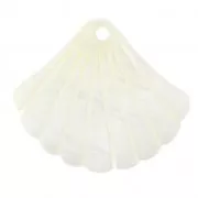 Colgante Nácar Concha - 25x30 mm para hacer tus propias piezas de Joyería y bisutería x1