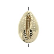 Cuenta / concha de cauri 9x6 mm Chapado Oro 3 micras x1|raw }}