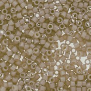 Miyuki Delica Duracoat 11/0 DB2363 - Opaque Dyed Oyster x8g|raw }}