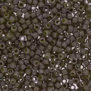 Miyuki Delica Duracoat 11/0 DB2365 - Opaque Dyed Taupe x8g