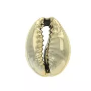 Conchas de Caurí acabado dorado para hacer joyas DIY - 12 y 20 mm x 1