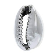 Conchas de Caurí acabado plateado para hacer piezas de Joyería DIY 16 y 23 mm x 1|raw }}