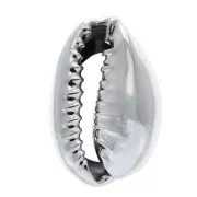 Conchas de Caurí acabado plateado para hacer piezas de Joyería DIY 16 y 23 mm x 1