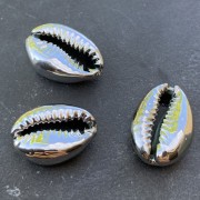 Conchas de Caurí acabado plateado para hacer piezas de Joyería DIY 16 y 23 mm x 1