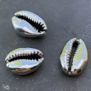 Conchas de Caurí acabado plateado para hacer piezas de Joyería DIY 16 y 23 mm x 1