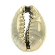 Conchas de Caurí 16 y 23 mm - Dorado con oro fino x 1