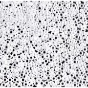 Rocalla Miyuki 15/0 420 - Opaque White Pearl Ceylon