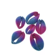 Concha Cauri degradado rosa/azul para hacer joyas DIY - entre 20 y 26mm x1