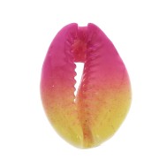 Concha Cauri degradado rosa/amarillo para hacer joyas DIY - entre 20 y 26mm x1|raw }}