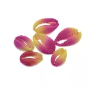 Concha Cauri degradado rosa/amarillo para hacer joyas DIY - entre 20 y 26mm x1
