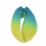 Concha Cauri degradado azul/amarillo para hacer joyas DIY - entre 20 y 26mm x1|raw }}