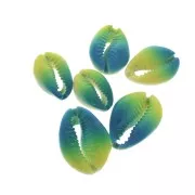 Concha Cauri degradado azul/amarillo para hacer joyas DIY - entre 20 y 26mm x1