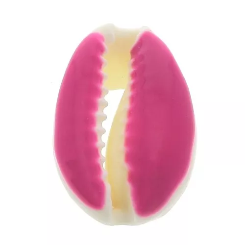 Concha Cauri con resina epoxi Fucsia para hacer joyas entre 20 y 25 mm x1