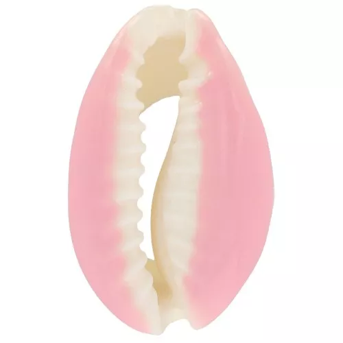 Concha Cauri con resina epoxi Rosa Claro para hacer joyas entre 20 y 25 mm x1