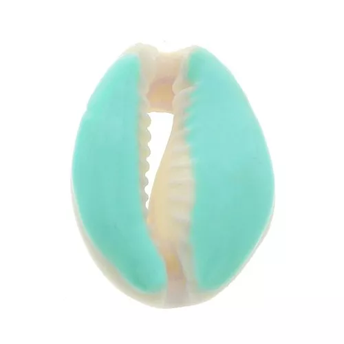 Concha Cauri con resina epoxi Azul claro para hacer joyas entre 20 y 25mm x1