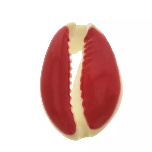 Concha Cauri con resina epoxi Rojo para hacer joyas entre 20 y 25mm x1