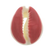 Concha Cauri con resina epoxi óxido para hacer joyas entre 20 y 25mm x1|raw }}