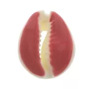 Concha Cauri con resina epoxi óxido para hacer joyas entre 20 y 25mm x1