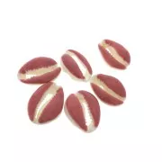 Concha Cauri con resina epoxi óxido para hacer joyas entre 20 y 25mm x1