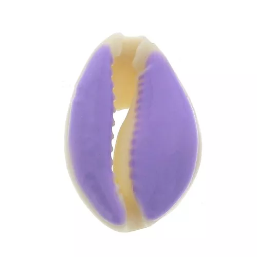 Concha Cauri con resina epoxi Morado para hacer joyas entre 20 y 25mm x1