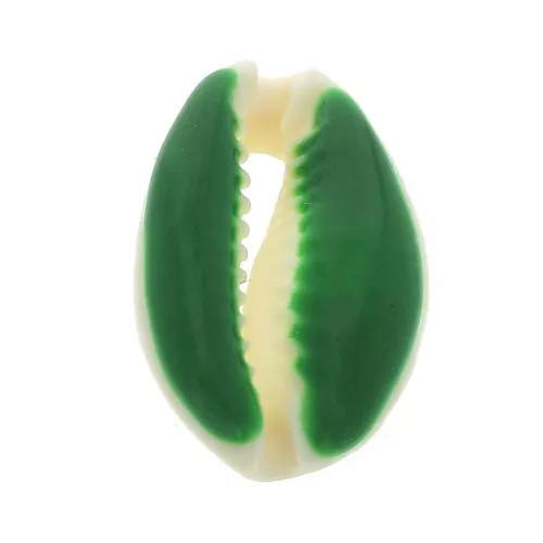 Concha Cauri con resina epoxi Verde para hacer joyas entre 20 y 25mm x1