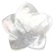 Colgante de flor de nácar 19,5 x 20 mm - Natural x1