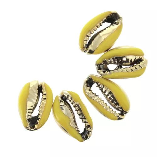 Conchas de Caurí con resina epóxi Amarillo / Dorado - entre 12 y 15 mm x1