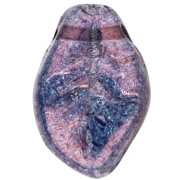 Hojas onduladas 14x9 mm Lumi Amethyst x20