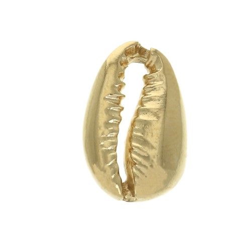 Entrepieza concha Cauri 14x9 mm - Chapado de Oro 3 micras x1