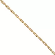 Cadena fina Paloma 0.6 mm Gold filled x50cm